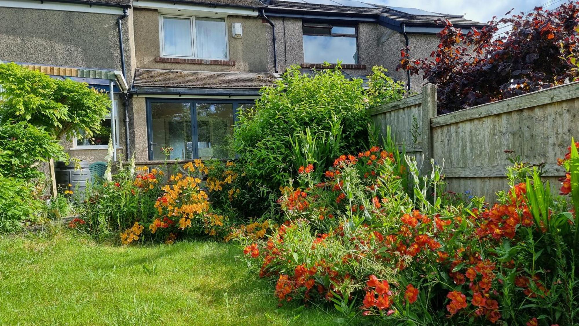 Garden View *